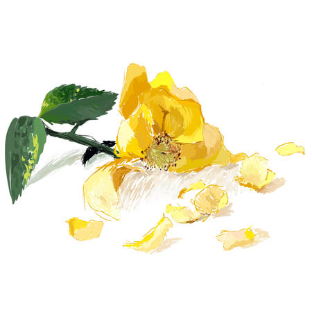 Yellowed, 21 Mar 2022